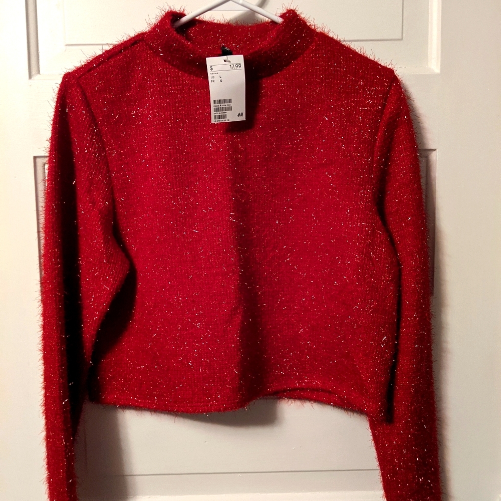 H&M Crop Sweater
